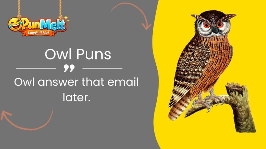 Owl Puns: 220+ Funny Owl Jokes That Are a Real Hoot