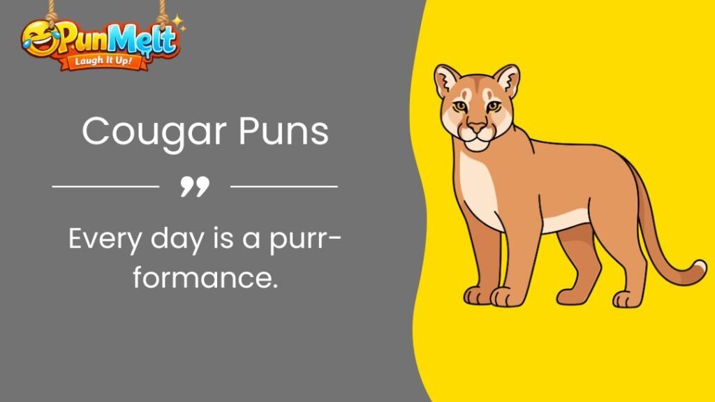 280+ Cougar Puns That Will Make You Roar with Laughter 2026