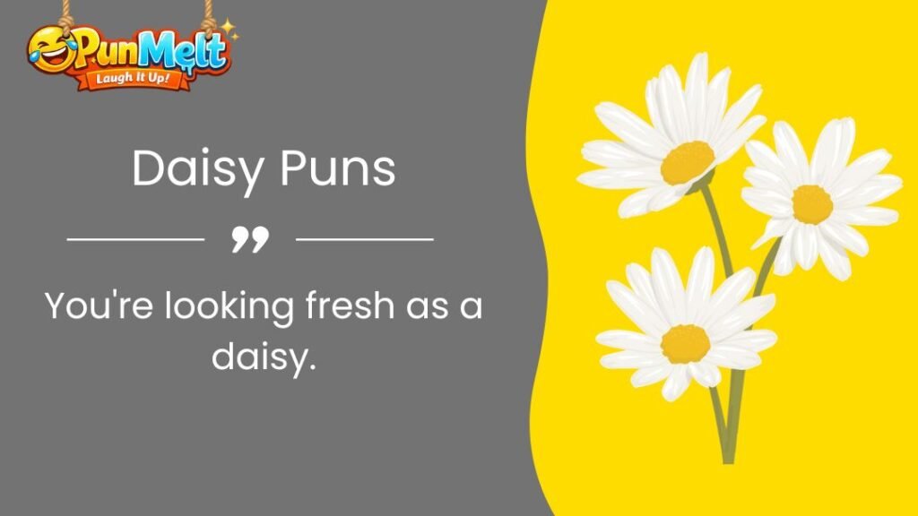 350+ Daisy Puns That Will Make You Bloom With Laughter 2026