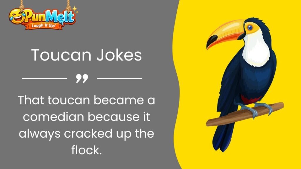 280+ Toucan Jokes That Will Make Everyone Laugh