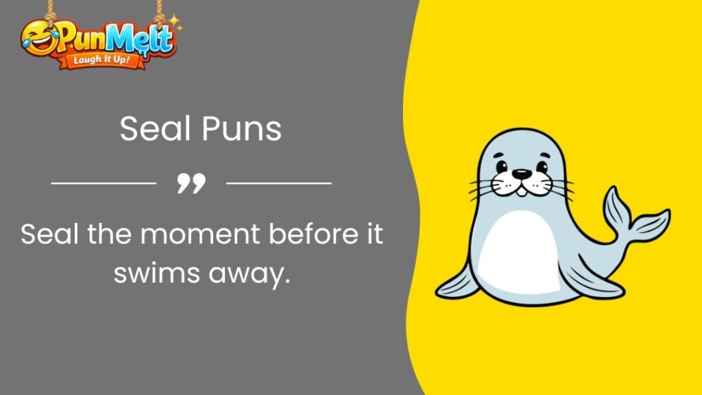400+ Seal Puns: Funny Seal Jokes and Puns That Will Make You Laugh