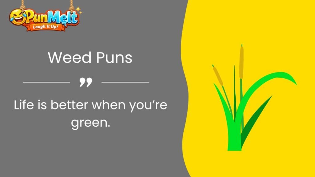 400+ Weed Puns: Funny Weed Puns, Jokes, and Clever One-Liners